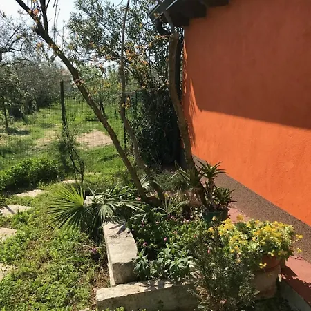 Schoene In Babici Mit Kleiner Terrasse Apartment Umag
