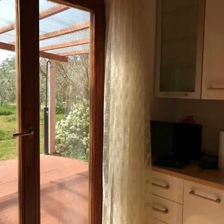 Schoene In Babici Mit Kleiner Terrasse Apartment