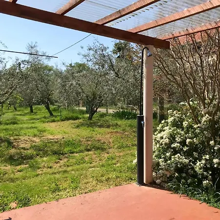 Schoene In Babici Mit Kleiner Terrasse *