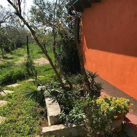 Lägenhet Schoene In Babici Mit Kleiner Terrasse
